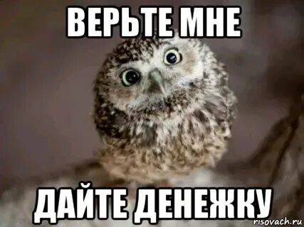 Дай денежек картинки