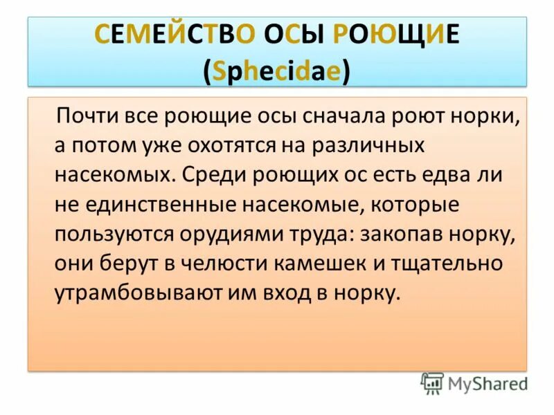 Внешность женщина майя. Едва ли не единственный. Едва ли. Дела не равны по значимости. Едва ли не.