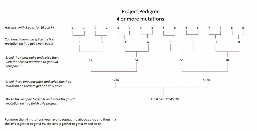 Dp1205 Programming Guide. Last pair