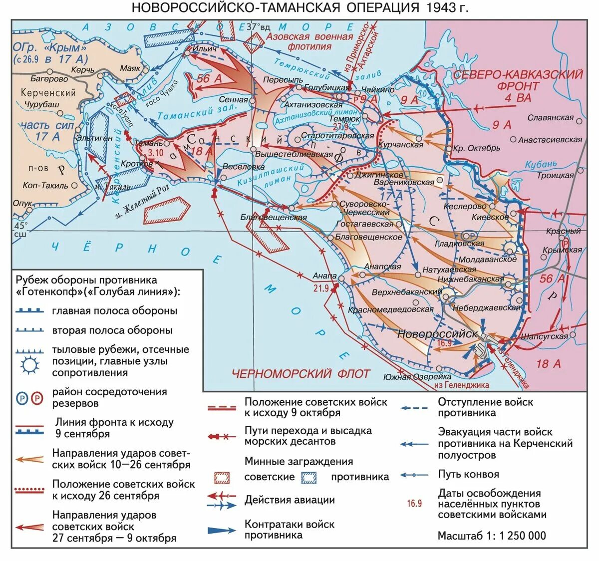 Новороссийско-Таманская операция 9 сентября-9 октября 1943 г.. Освобождение Таманского полуострова 1943. Новороссийск - Таманская операция. Новороссийско-Таманская операция 1943. Битва за кавказ операции