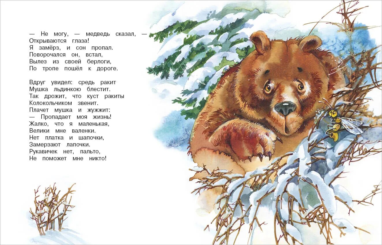 Увидеть медведя предложение. Медведь шатун. сон медведя сказка. берлога медведя. стихотворение спал медведь.