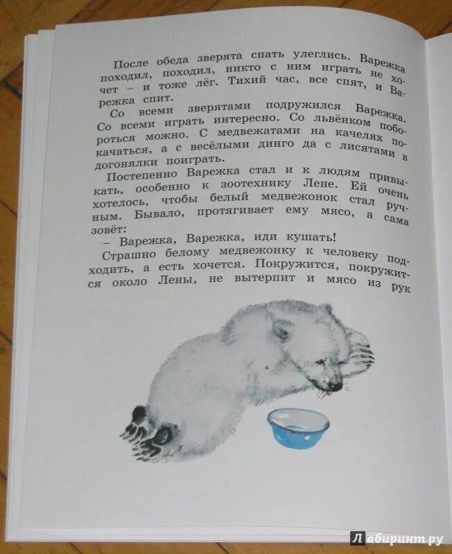 Чаплина медвежонок читательский. Чаплина фомка белый медвежонок четвероногий пассажир. Чаплина медвежонок читательский. Книга веры чаплиной фомка белый медвежонок. Чаплина медвежонок читательский.