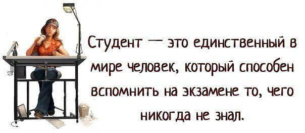 Афоризмы про студентов. Смешные цитаты про студентов. Смешные высказывания о студентах. Студенческие афоризмы смешные. Экзамены сдала статус