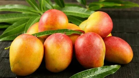 Mango pl