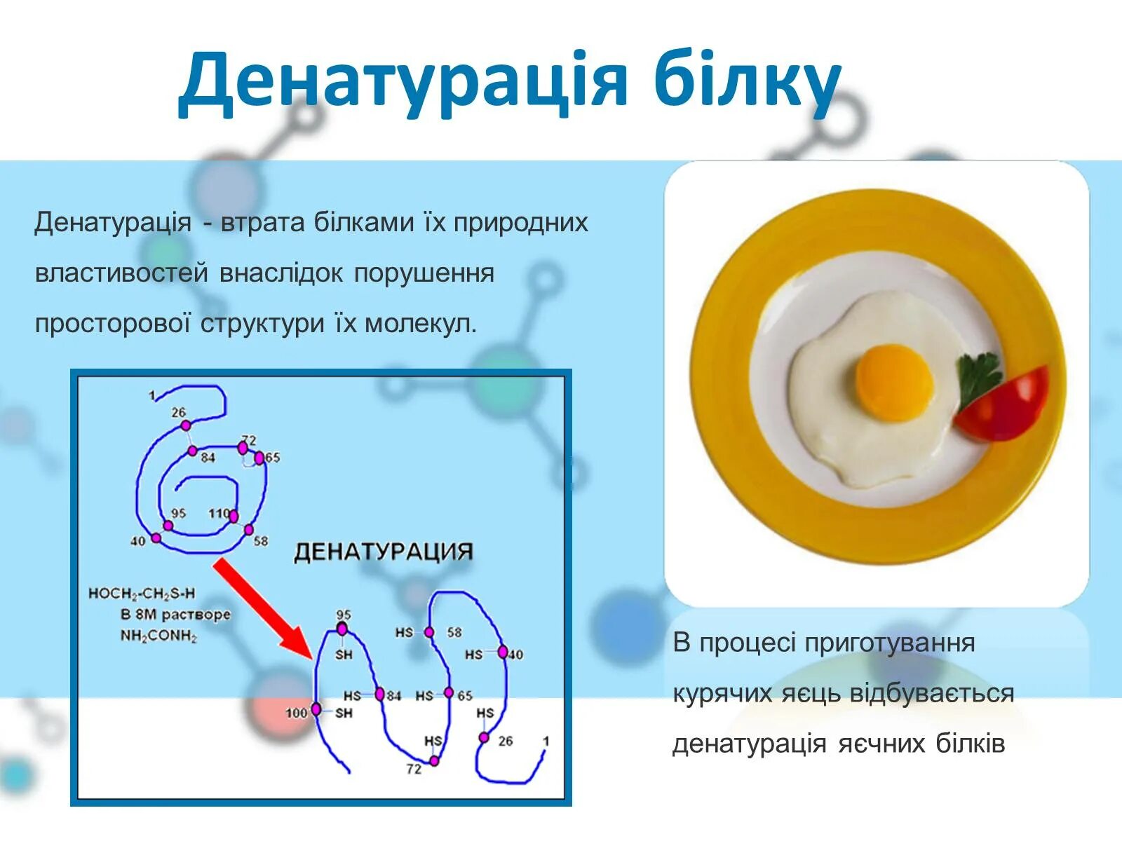 Белки вода реакция. Денатурация белка куриного яйца формула. Денатурация белков денатурация белков. Белки структура денатурация. Тепловая денатурация белка формула.