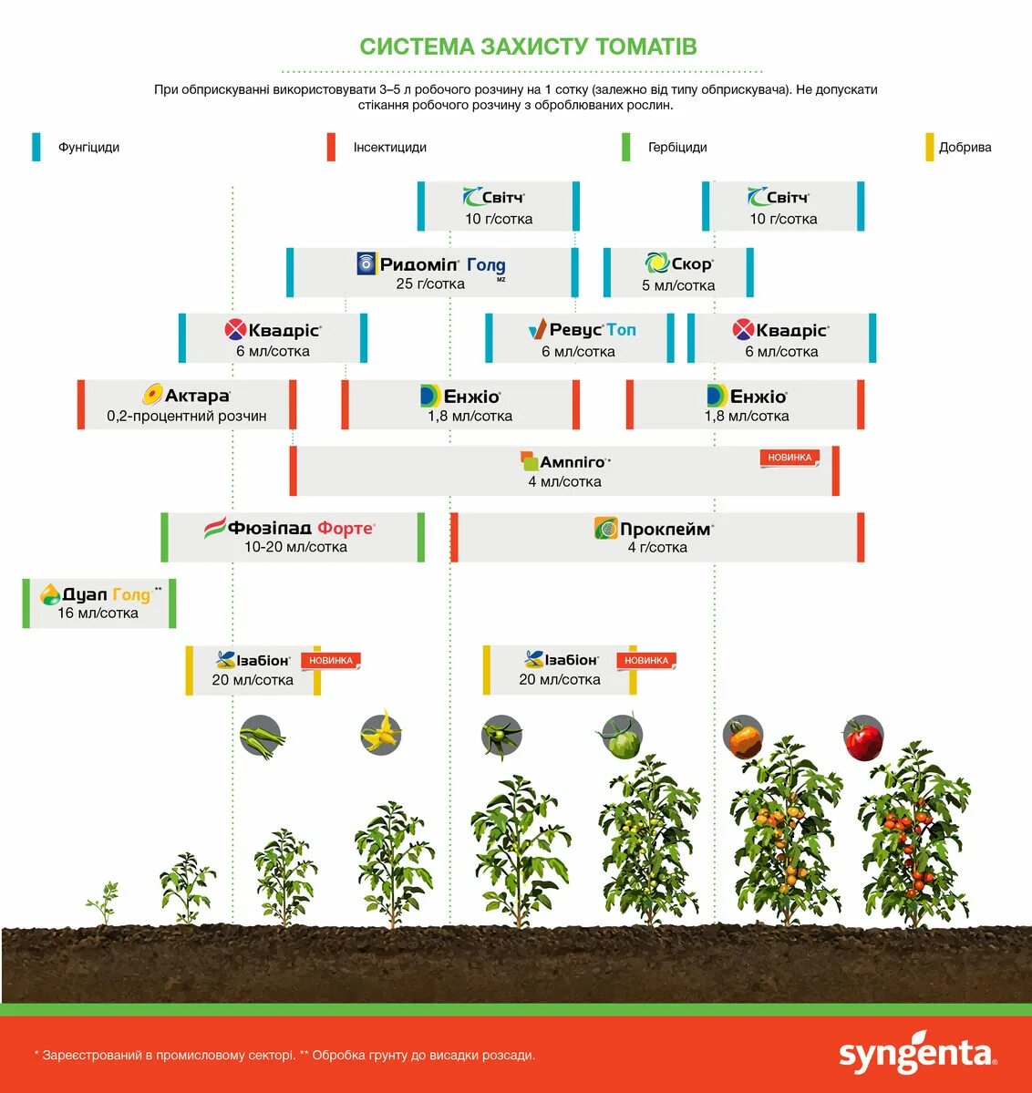 Схема защиты картофеля от Сингенты. Схема защиты томатов открытого грунта. Схема подкормки томатов Сингента. Схема питания томатов.