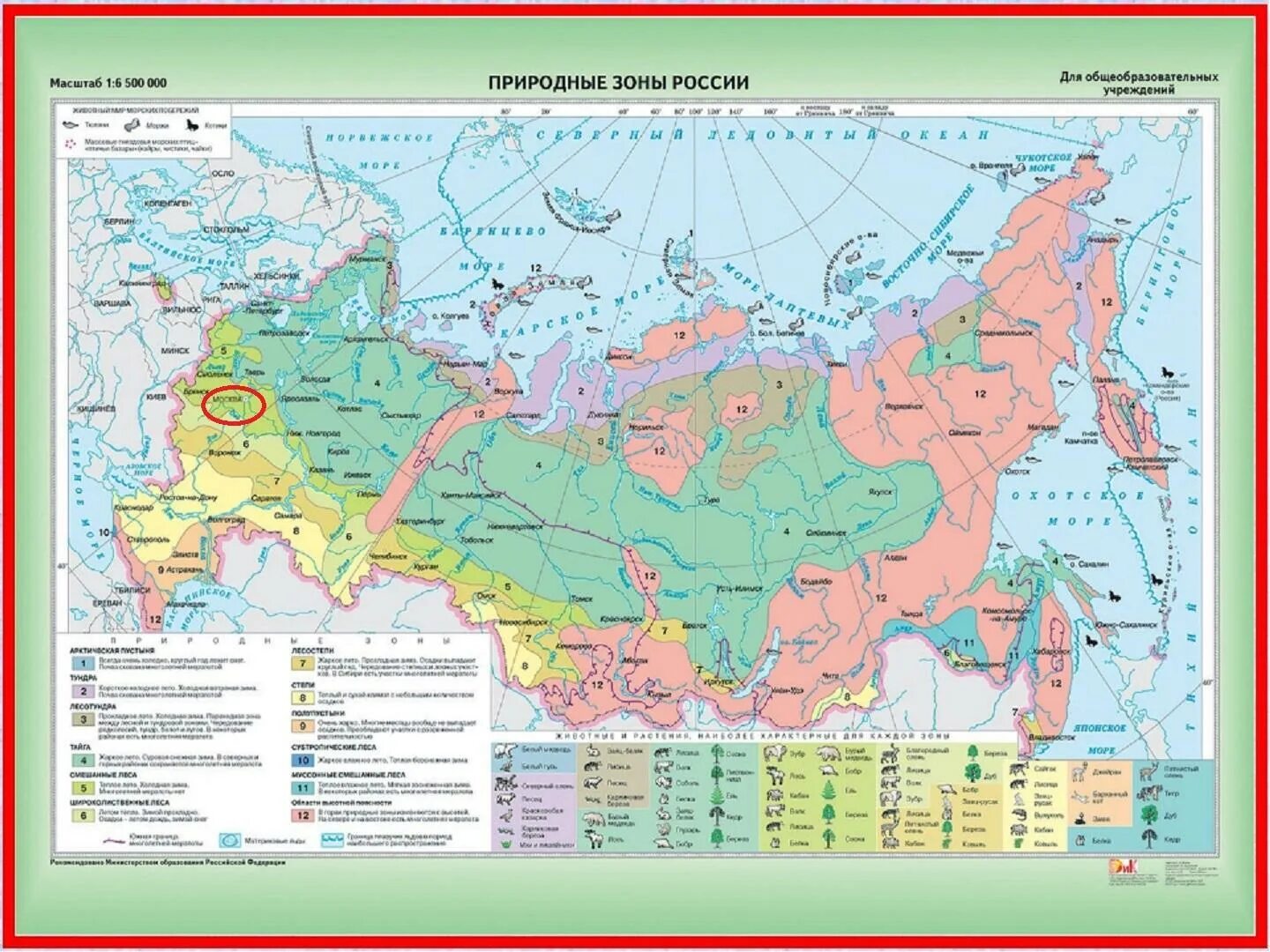 Природные зоны вариант 1. Карта природных зон России 4. Географическая карта России с природными зонами. Природные зоны России карта 4кл. Природно хозяйственные зоны России карта.