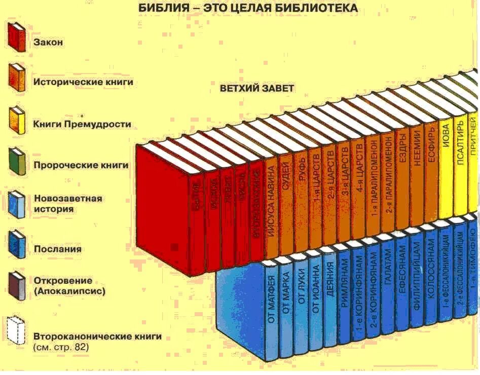 По сколько книг вы получили. Структура Священного Писания Библия. Структура ветхого Завета схема. Библия структура книги. Сколько книг в Библии.