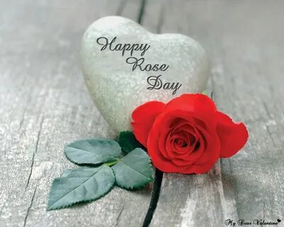 Rose day