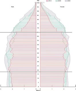 Population pyramid