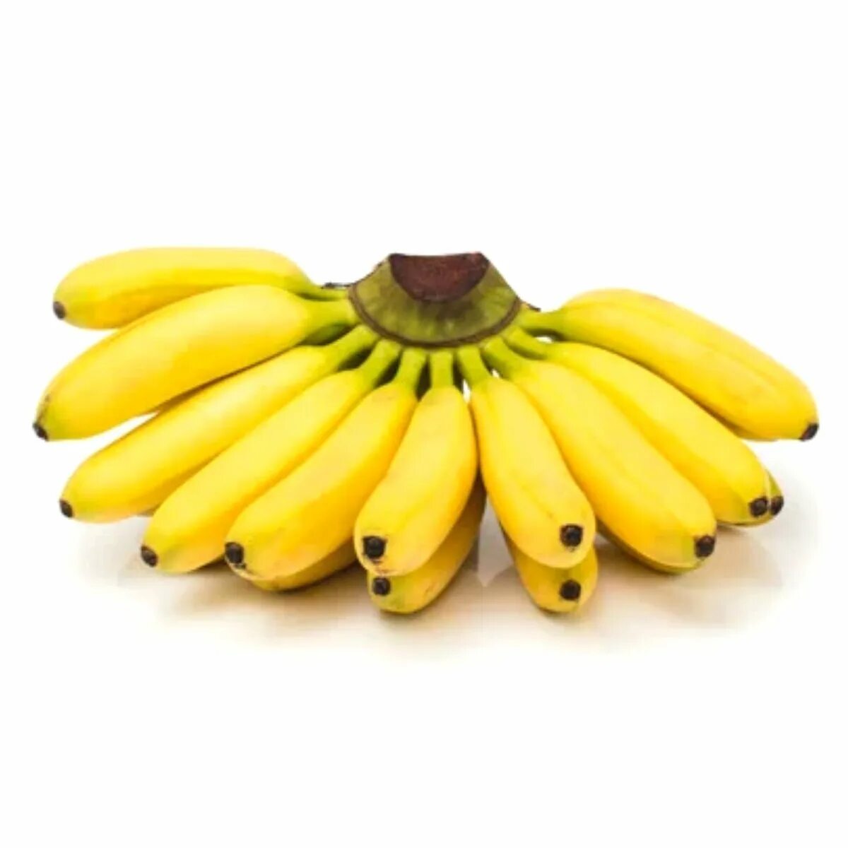 Где купить банан. Банан и мини банан. Мини бананы Эквадор. Мини бананы сорта. Бэби бананы.
