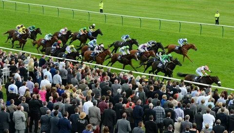 Horse race betting