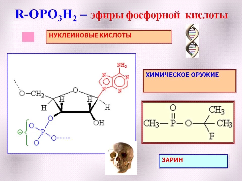 Сложные эфиры фосфорной кислоты. Эфиры фосфористой кислоты. Эфиры ортофосфорной кислоты. Фосфорная кислота с органическими. Ортофосфорная кислота тип связи