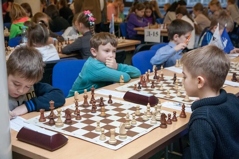 сзфо шахматы. фото шахматы сзфо 2022. марков михаил петрович шахматы. шахматы алексея михайловича. сзфо шахматы.