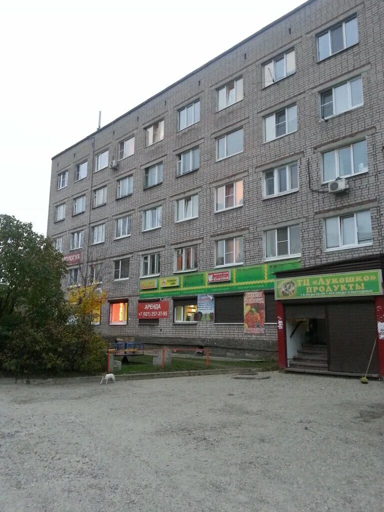 Выбор череповец. Твой выбор важен. Болотова психолог. Выборы в городскую думу череповца 2022. Депутаты городской думы череповца.