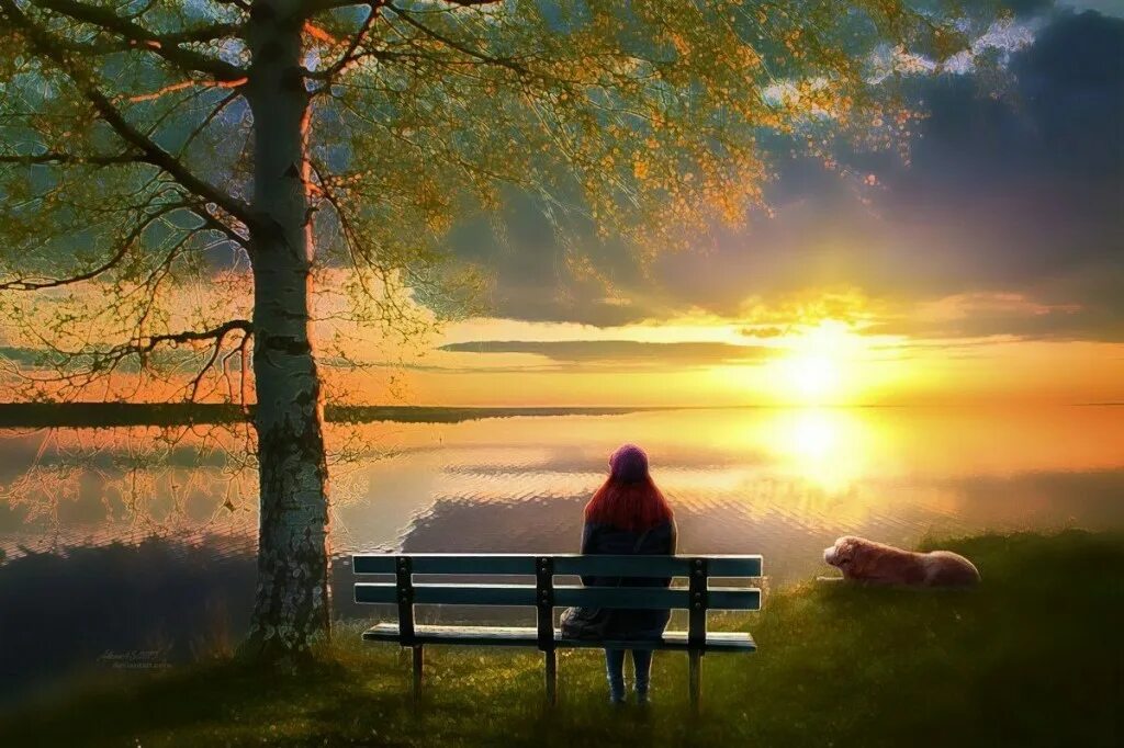 "солнце в лесу". лето утро пруд. солнечный пейзаж. рассвет в деревне. майский рассвет.