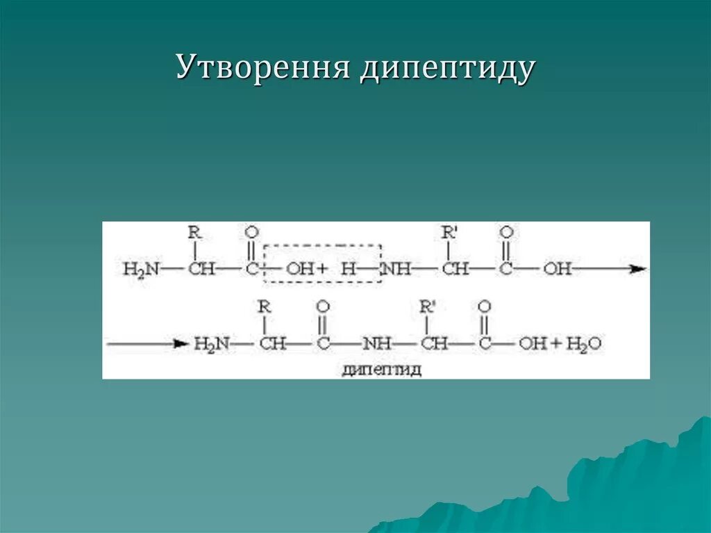 Образец дипептида природного