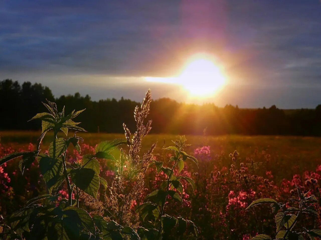 Песня летний вечер. Природа солнце. Лето вечер. Летний закат. Вечернее солнце.