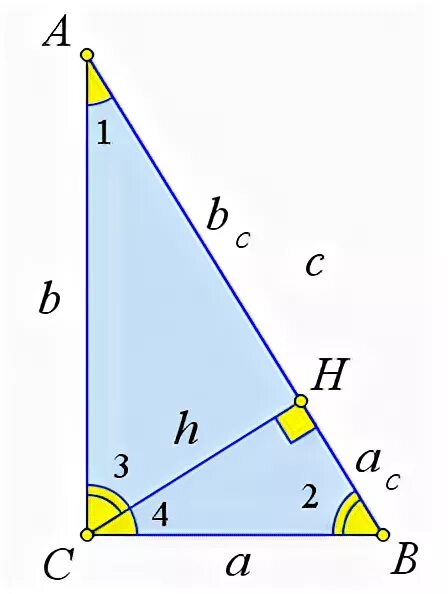В прямоугольном треугольнике mng высота gd. Пропорциональные отрезки в прямоугольном треугольнике. Пропорциональные отрезки в прямоугольном треугольнике а=2 BC=3. Пропорциональные отрезки в прямоугольном треугольнике чертеж. Пропорциональные отрезки в прямоугольном треугольнике задания.
