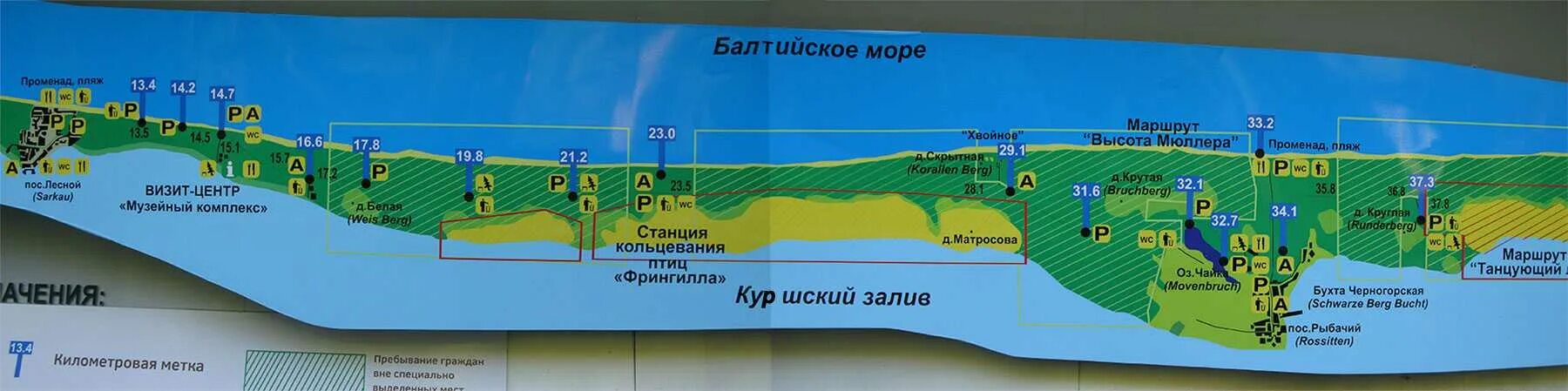 Карта Куршской косы Калининградская область. Национальный парк Куршская коса на карте. Куршская коса на карте Калининградской области. Схема Куршской косы. Карта музея калининграда