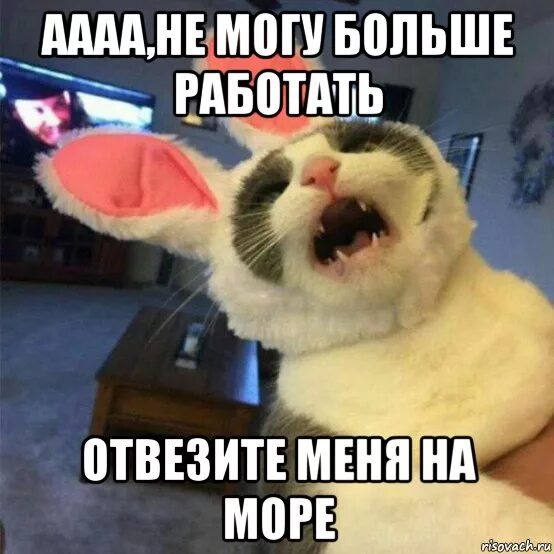 Что значит большое сработало
