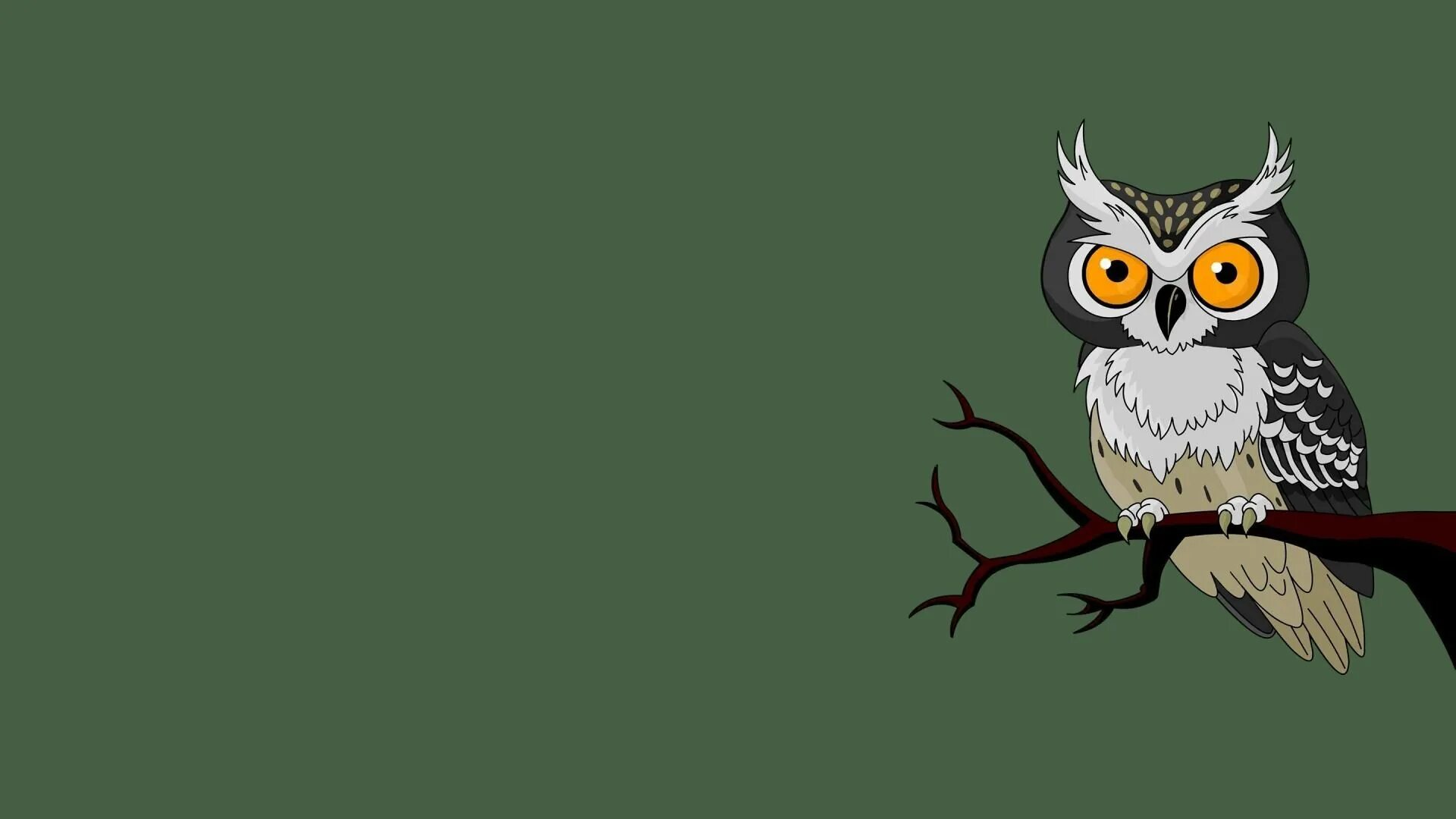 Сова на черном фоне. Сова на черном фоне. Космическая сова. Сова фото. Темы для sova v.