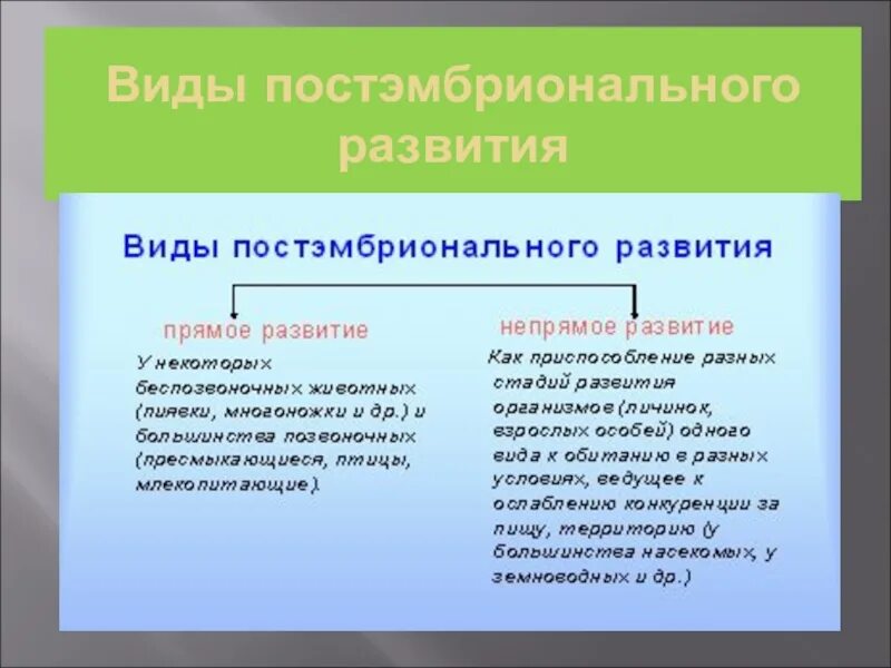 Прямой Тип постэмбрионального развития. Постэмбриональное развитие организмов схема. Постэмбриональный период онтогенеза периоды. Типы постэмбрионального периода.