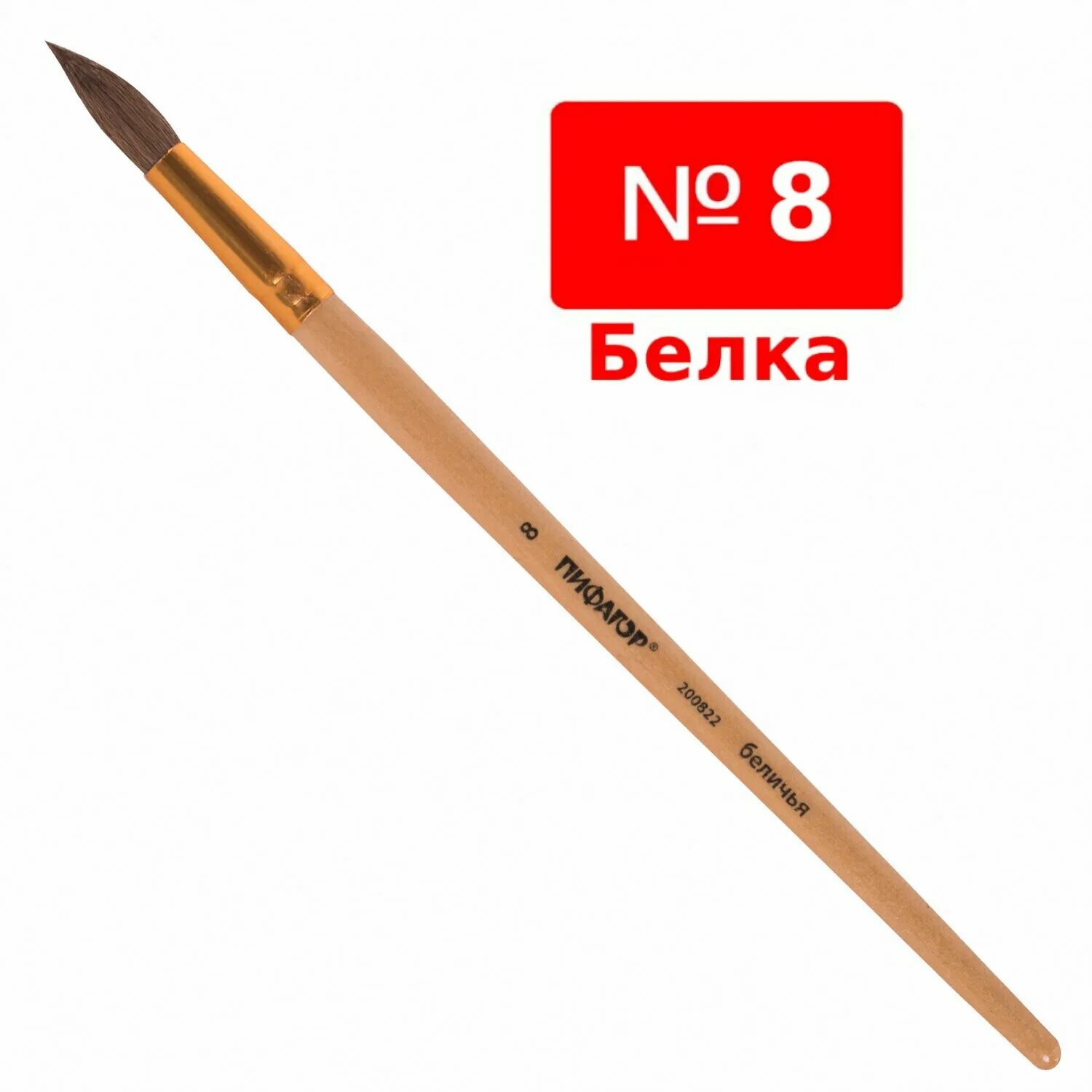 Кисть белка круглая №10. Ручка прозрачная. Белка круглая 10. Белка мульти пульти. Кисть круглая, белка, n10.