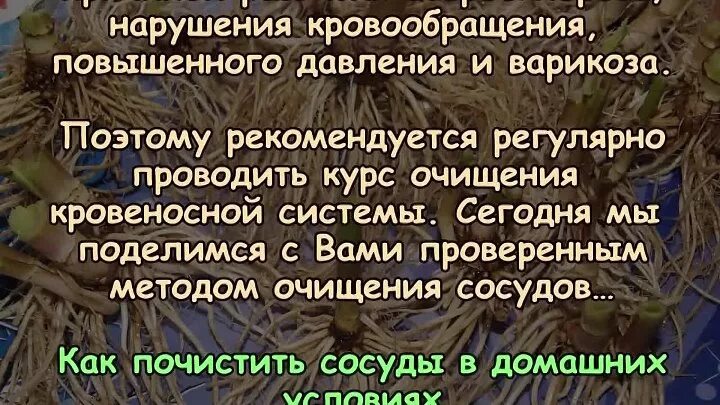 Укроп от давления рецепт. Чистка сосудов укропом. Укроп мёд и валериана для чистки сосудов. Укроп с валерьянкой для сосудов. Корень валерианы укроп мед.