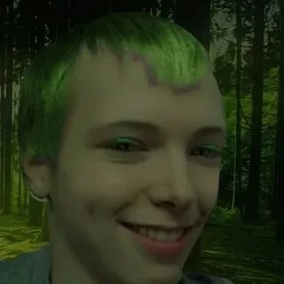 Dima dark forest