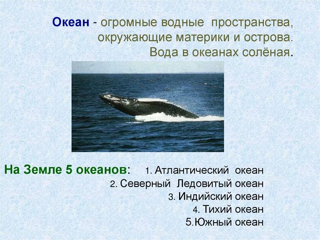 Океаны 3 класс окружающий