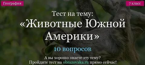 Тест на животное