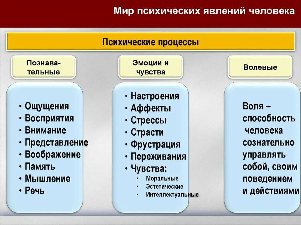 Память относится к психическим