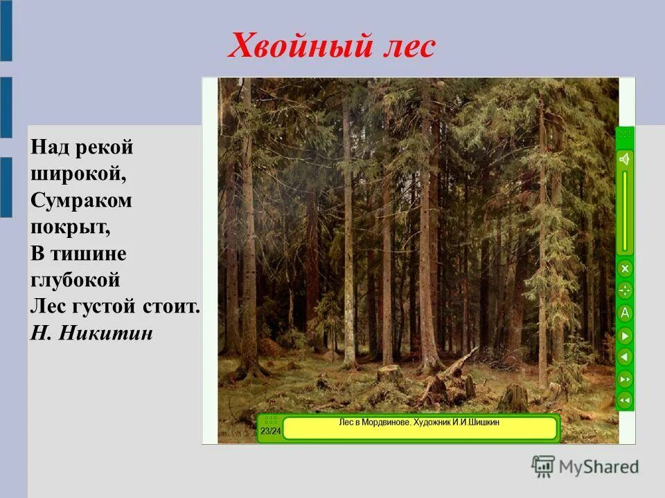 имена означающие лес