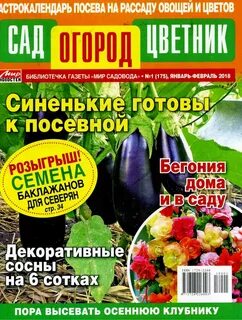 Садовод январь