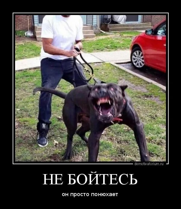 Некоторые хозяева. Некоторые хозяева