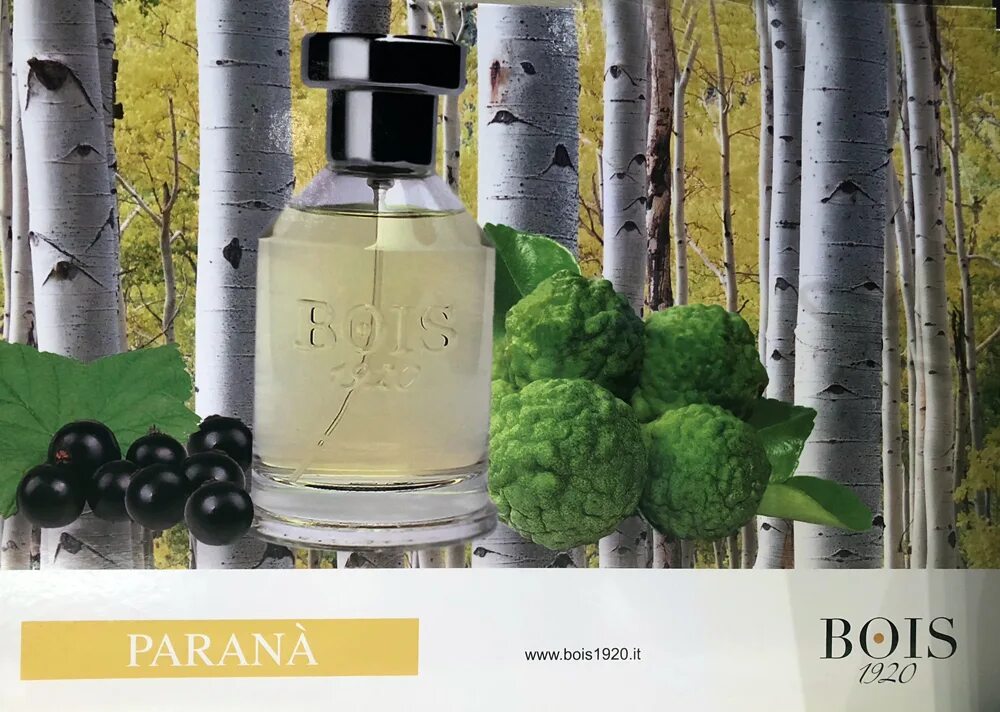Парана 1920. Парана 1920. Bois 1920 parana tester. Bois 1920 синий. Bois 1920 parana золотое яблоко.