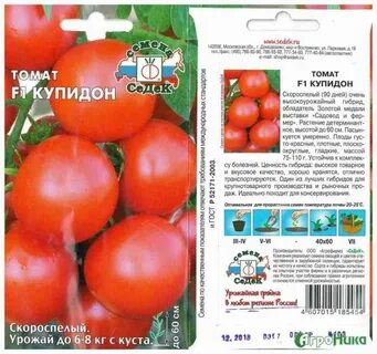 Томат морошка характеристика