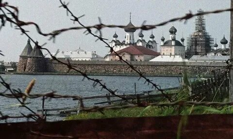 Слон соловецкий лагерь особого