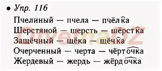 Русс яз упр 116