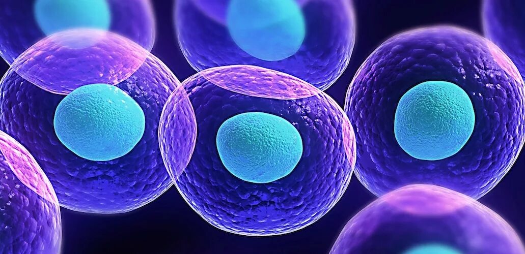 Cell image