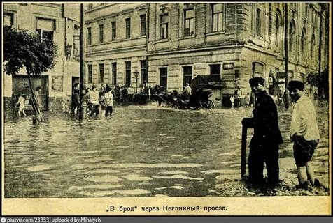 Исчезновение липы в дореволюционной москве связано с