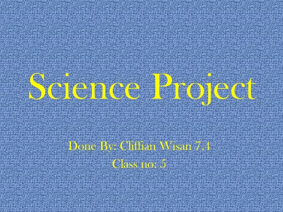 You do the project. You do the project