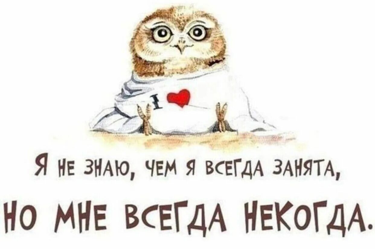 Цитаты некогда. Картинки с совами прикольные с надписями. мне некогда. мне некогда прикольные картинки. я всегда занята.