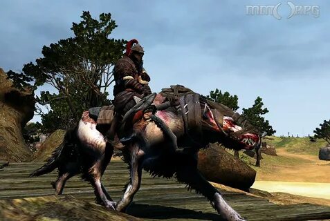 Wolf adventures