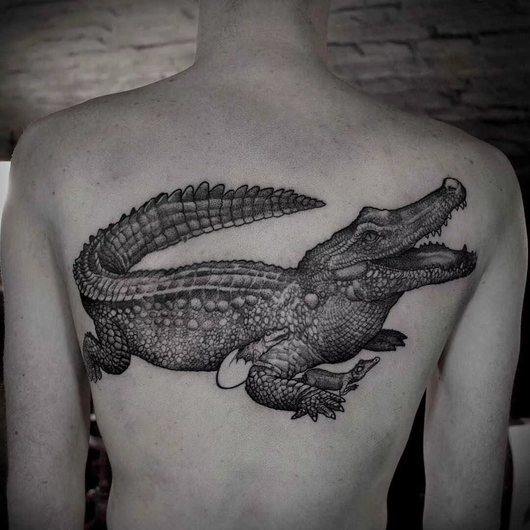 Нео традишнл крокодил. Тату крокодил. Тату крокодил значение. Тату крокодил реализм. Тату крокодил значение.