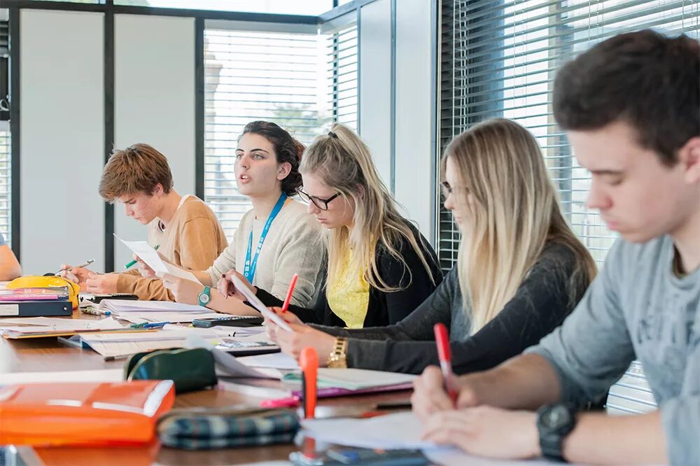 Преподаватель переводчик. Учебный центр. Учебный процесс. Тренинг для студентов. Обучение.