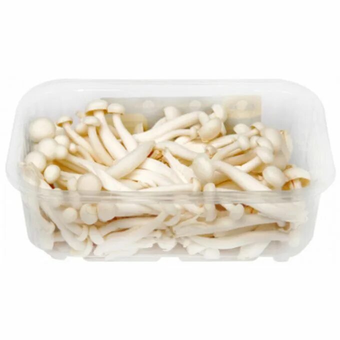 Шимиджи белые. Грибы шимиджи блюдо. Грибы эноки и шимеджи. Грибы эноки и шимеджи. Шимеджи грибы.