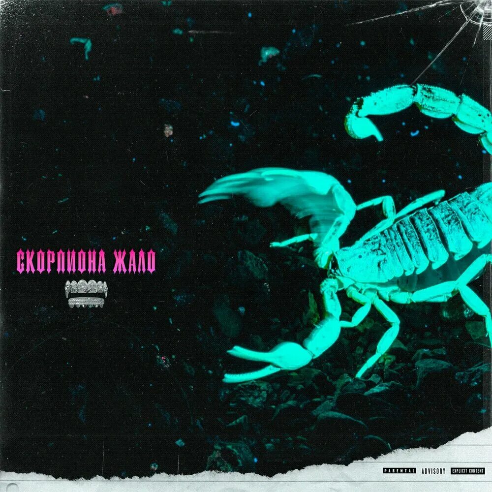Песня про скорпиона. Скорпион. Скорпион обложки альбомов. Скорпион музыка. Как выглядит Скорпион.