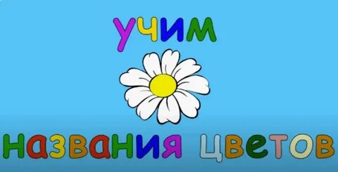 Имена учить